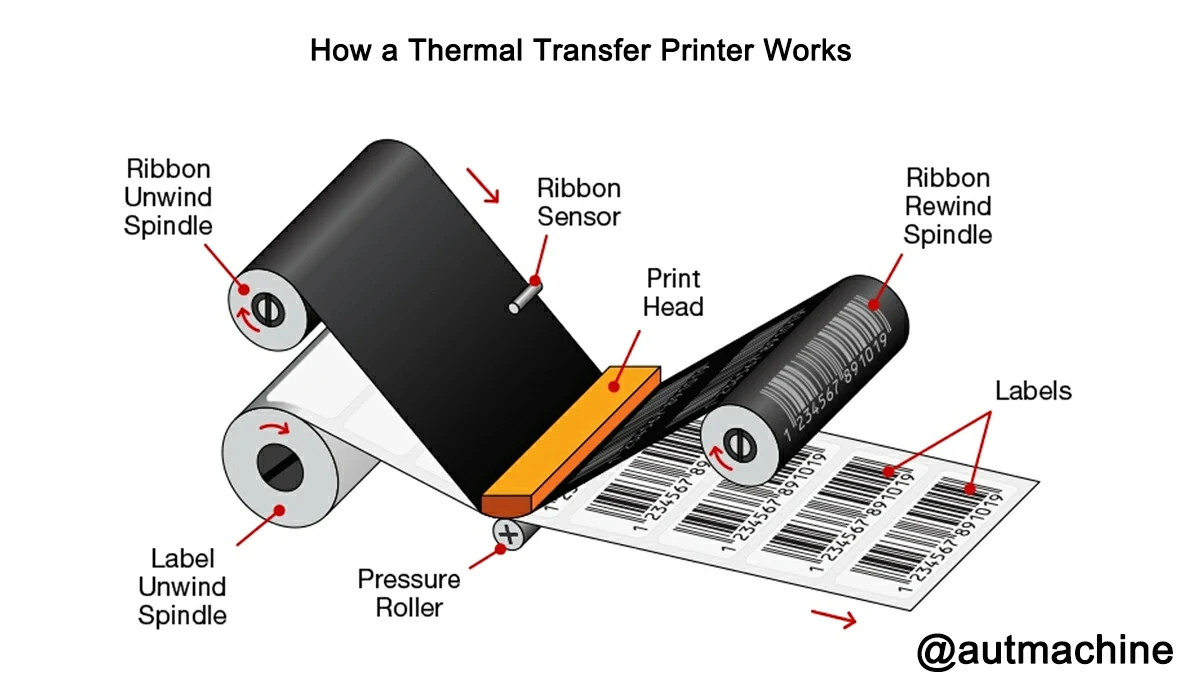 How a Thermal Transfer Printer Works